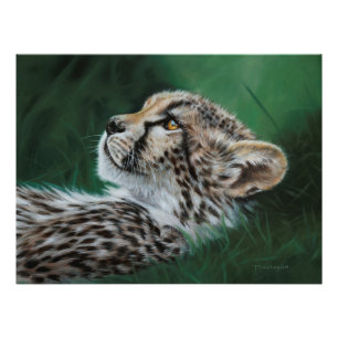 Bébé Guépard Poster