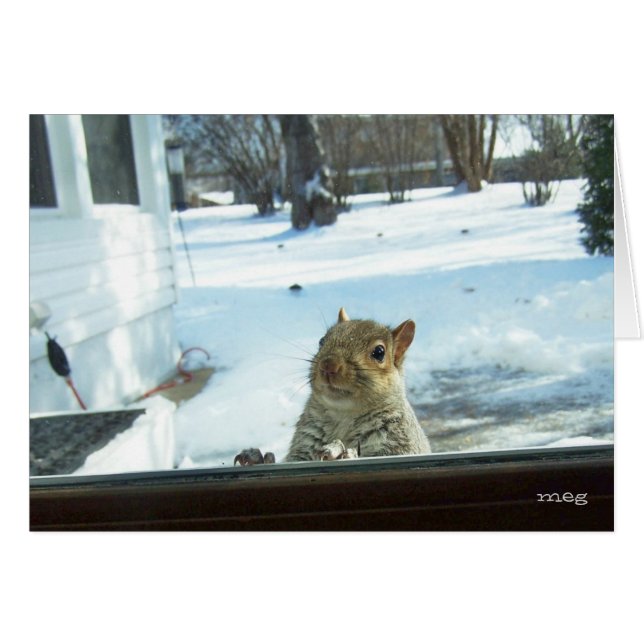 Bébé Il fait froid dehors (Devant horizontal)