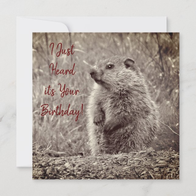 Bébé marmotte en NOIR ET BLANC Anniversaire (Devant)