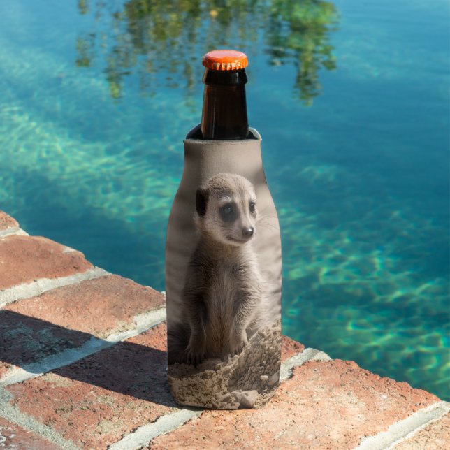 Bébé Meerkat Jouer Dans Le Sable, Glacière De Bout (Piscine in situ)