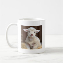 Bébé mignonne Mouton - Mignonne Mug animal