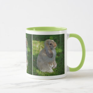 Bébé Minilop Rabbit Mug