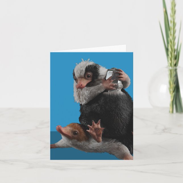 Bébé Nifflers Trouve Un Prix (Devant)