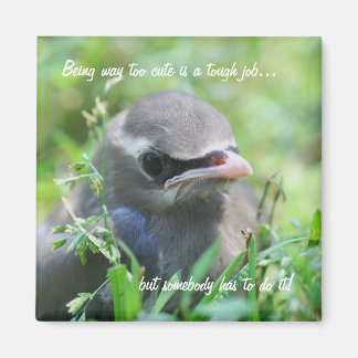 Bébé Oiseau Trop mignon Amusant Nature Magnet