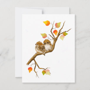 Bébé Oiseaux de Bruant Cartes pour notes blancs