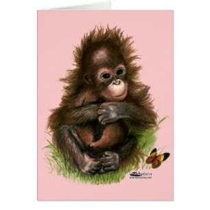 Bébé orang-outan et papillon