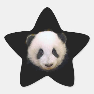 Bébé Panda Star Sticker