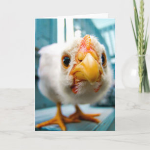 Bébé poulet, Coq, Animal de ferme, Carte de voeux
