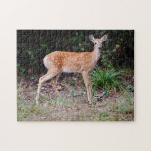 Bébé sauvage Cerf Nature Animal Fawn Puzzle