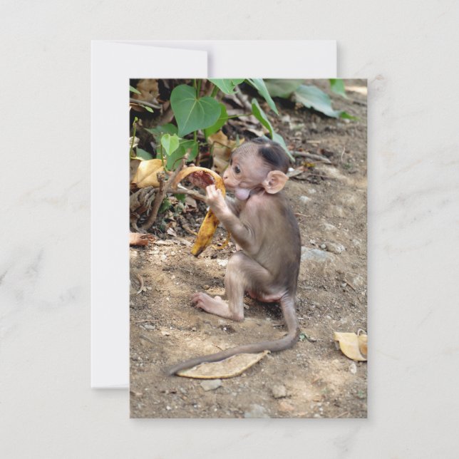 Bébé singe (Devant)