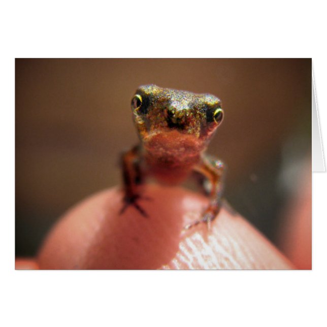 Bébé Toad / Tadpole (Devant Horizontal)