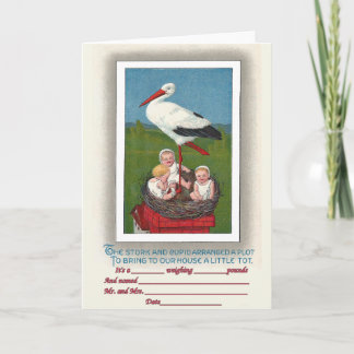 Bébés dans le nid de cigogne Faire-part de naissan