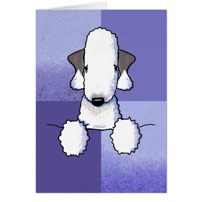 Bedlington Terrier (Devant)