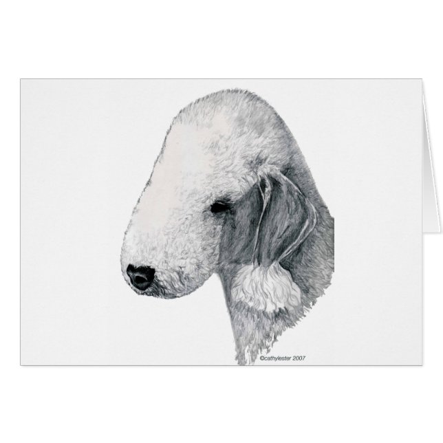 Bedlington Terrier (Devant horizontal)