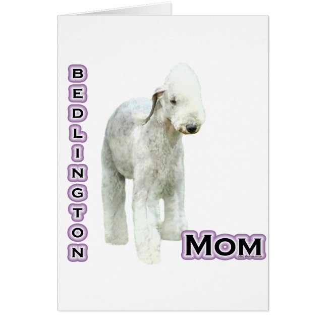 Bedlington Terrier Maman 4 (Devant)