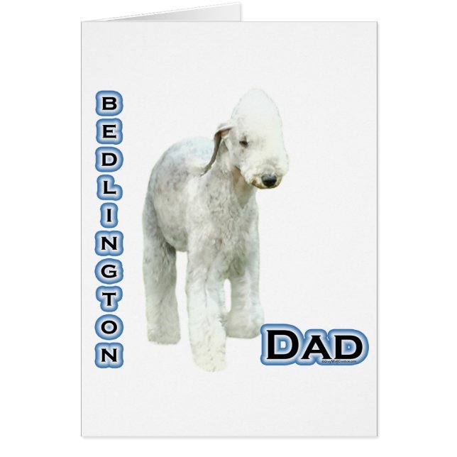 Bedlington Terrier Papa 4 (Devant)