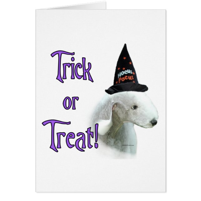 Bedlington Terrier Trick (Devant)