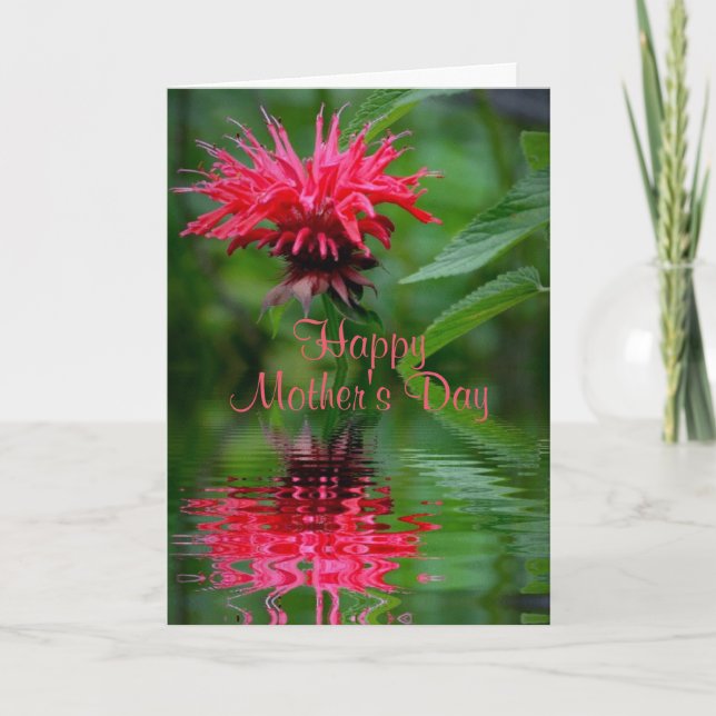 Bee Balm Reflection Carte de la fête des mères (Devant)