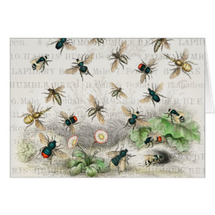 Bee Honey Travailleur Queen Bees Antique