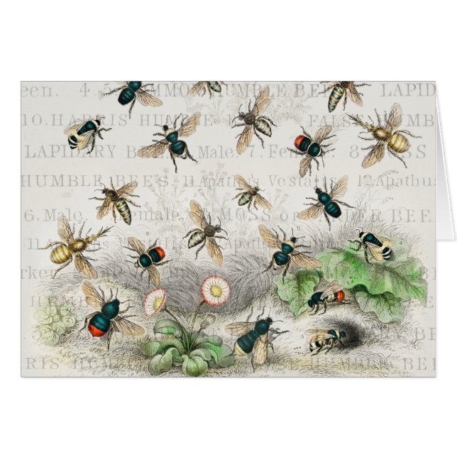 Bee Honey Travailleur Queen Bees Antique (Devant horizontal)