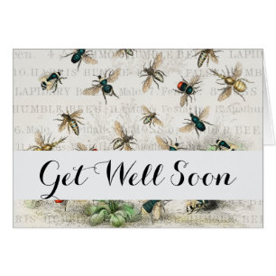 Bee Honey Travailleur Queen Bees Antique