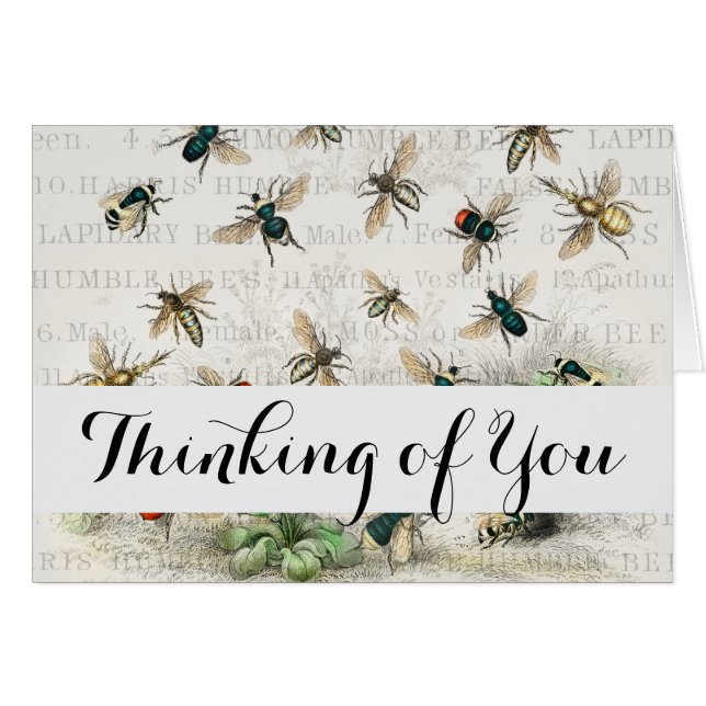 Bee Honey Travailleur Queen Bees Antique (Devant horizontal)