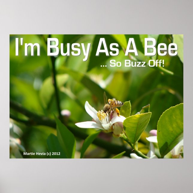 Bee - Je suis occupé, donc Buzz Off - Poster (Devant)