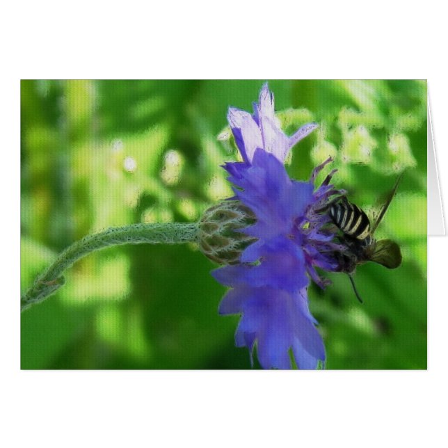 Bee on Button Flower Toutes les occasions Carte de (Devant horizontal)