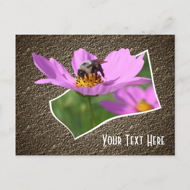 Bee On Cosmos Flower Carte Postale Personnalisable (Devant)