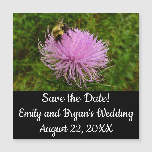 Bee on Thistle Flower Nature (Devant)