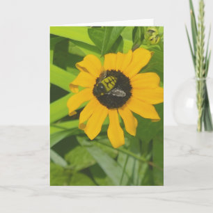 Bee Resting in a Flower Photo Carte de voeux vierg