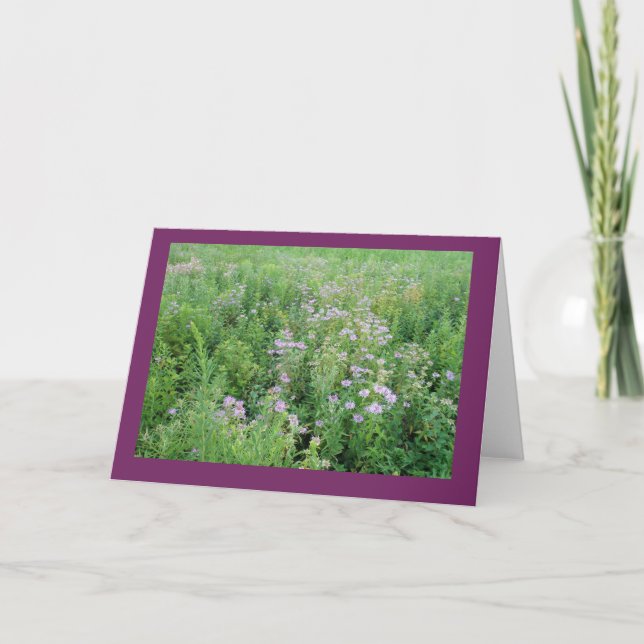 Beebalm in Prairie Garden Carte de note blanche (Devant)