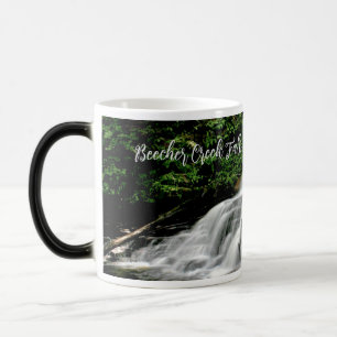 Beecher Creek Falls Mug
