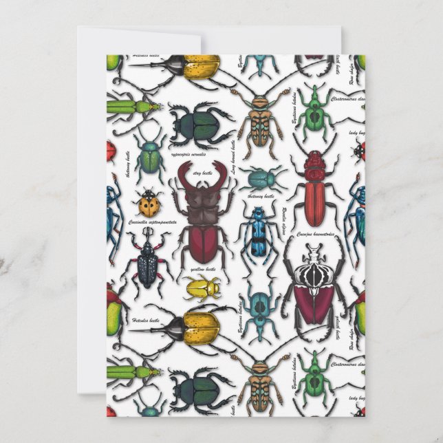 Beetons sur blanc (Devant)