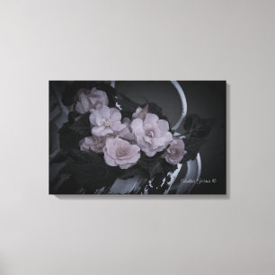 Begonias Sur Le Banc Jardin Galerie De Scène Toile