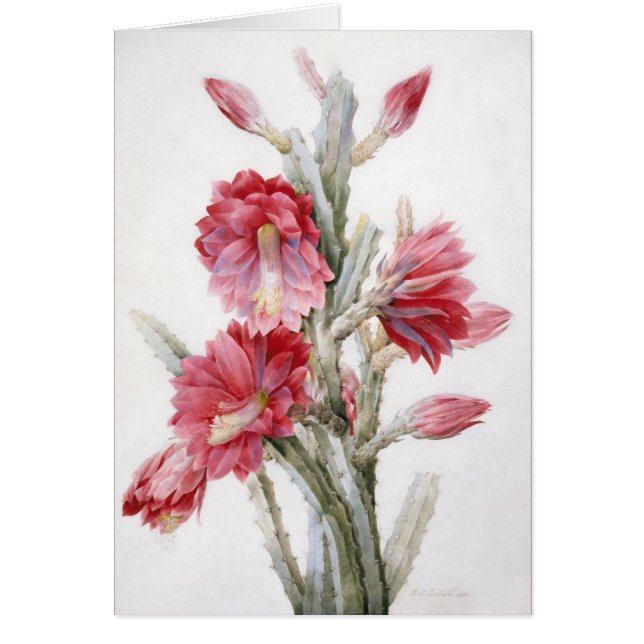 Bel art d'aquarelle de fleur de cactus (Devant)