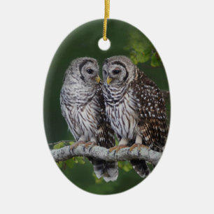 Bel ornement de Noël de hibou barré pour le Bird