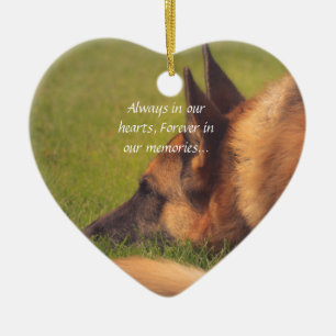 Bel ornement perdu d'animal familier de berger