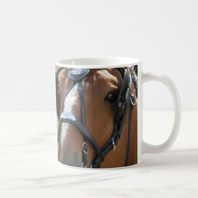 Belge dans la tasse de harnais (Droite)