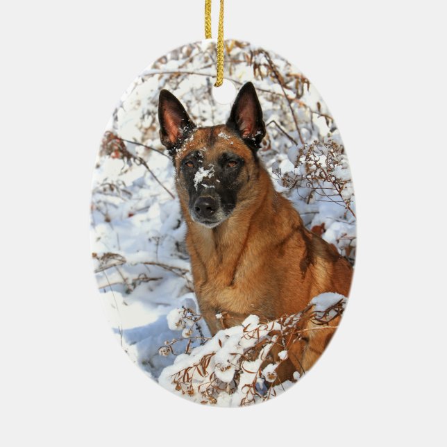 Belge Malinois en ornement de neige (Dos)