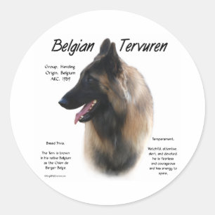 Belge Tervuren Rencontrez la race - Sticker