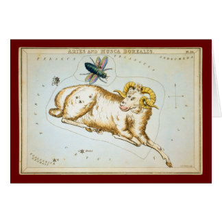 Bélier et Musca Borealis