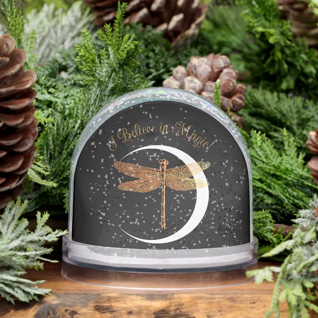 Believe in Magic!  (Hiver)