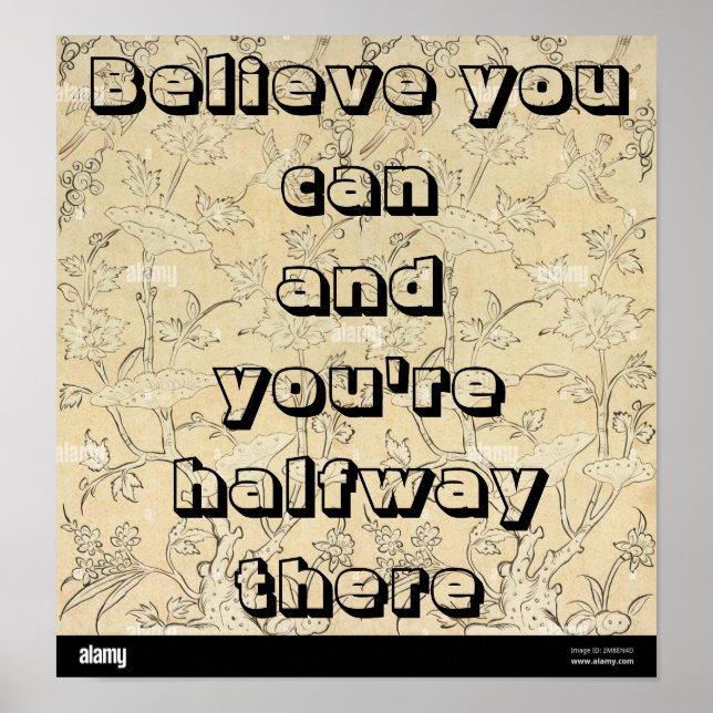 "Believe you can and you're halfway there." Poster (Devant)