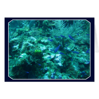 Belize