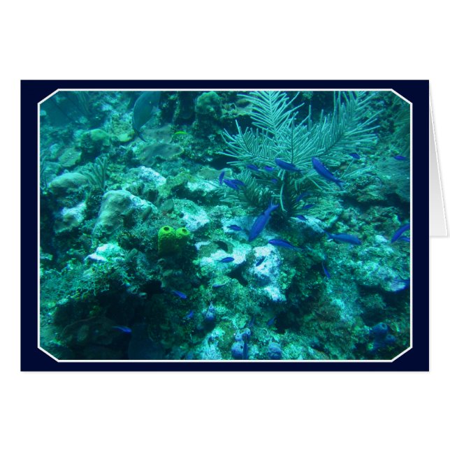 Belize (Devant Horizontal)