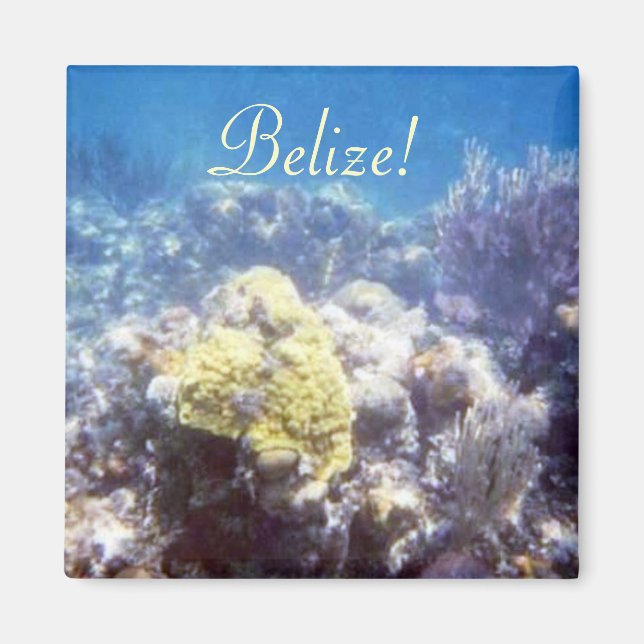 Belize ! Aimant de récif de corail (Devant)