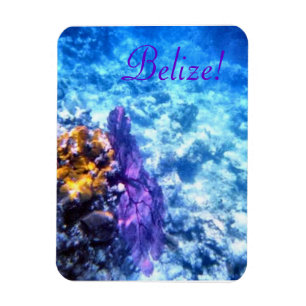 Belize ! Magnet Premium pour ventilateur de mer vi
