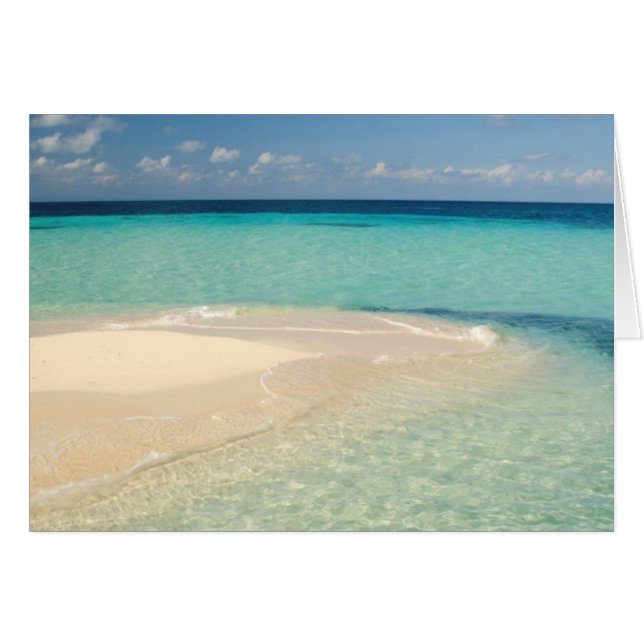 Belize, mer des Caraïbes. Goff Caye, une petite îl (Devant horizontal)
