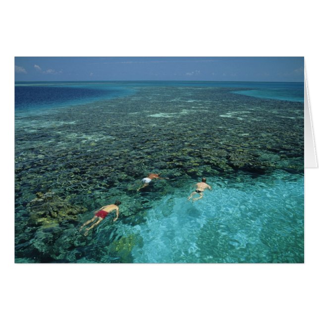 Belize, récif de la barrière, récif Lighthouse, bl (Devant horizontal)